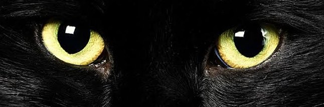 lilavaroza's profile banner image
