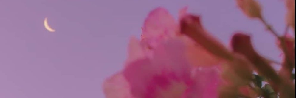 kmolchie13's profile banner image