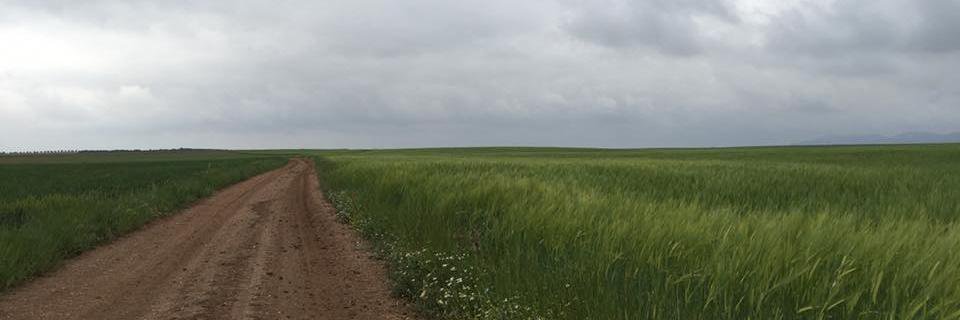 MAMCuartero's profile banner image