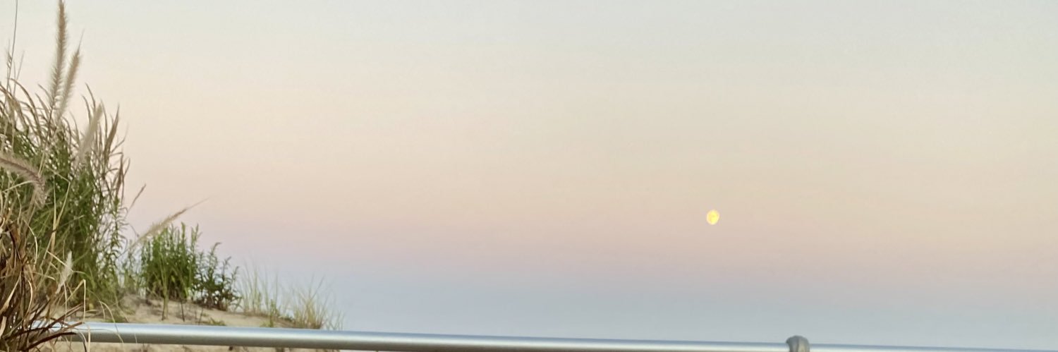 parkerkaminsky's profile banner image