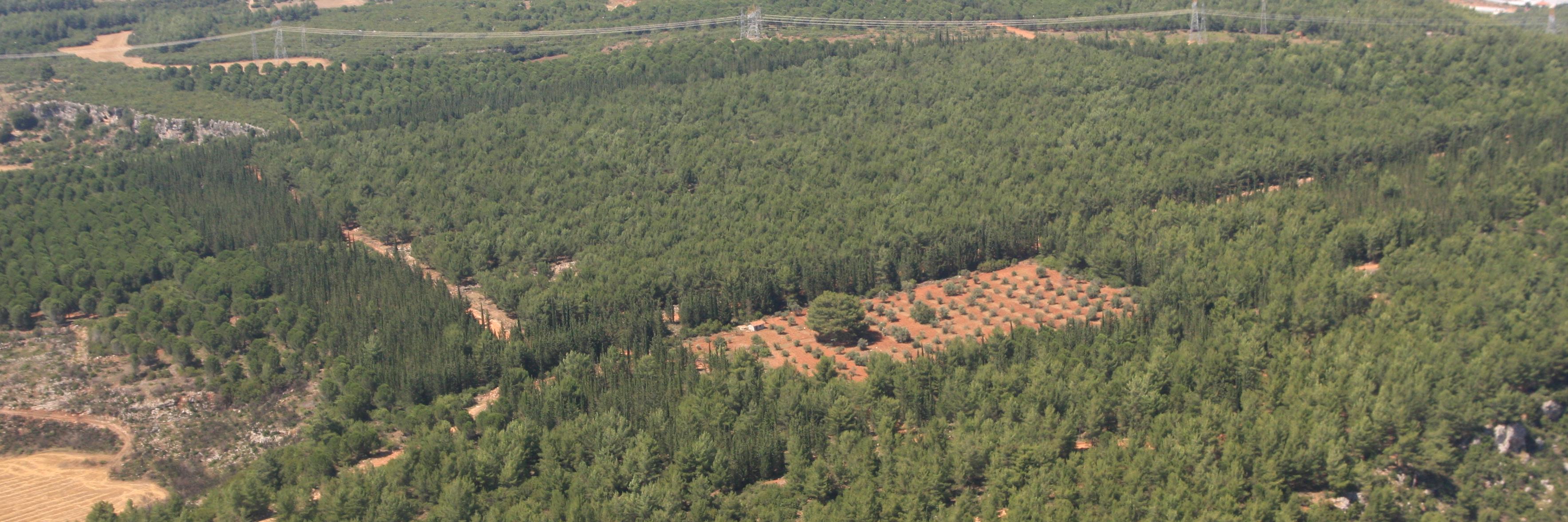 Antalya_Obm's profile banner image