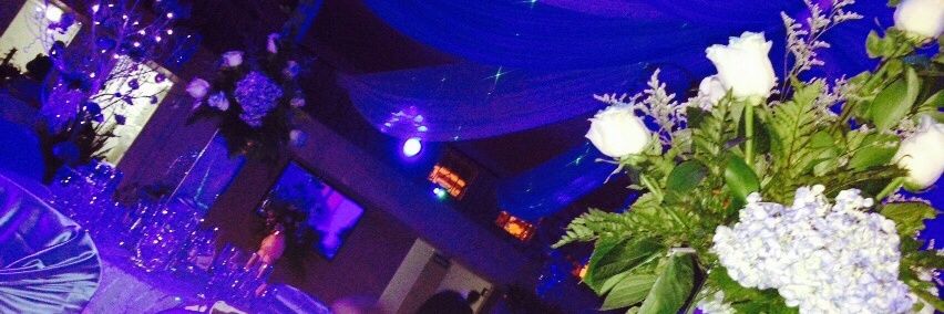 Gonzalezvines's profile banner image
