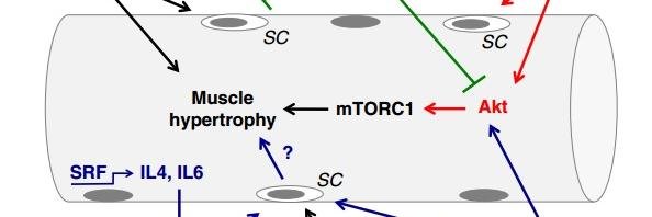 Alberto Ortegón banner