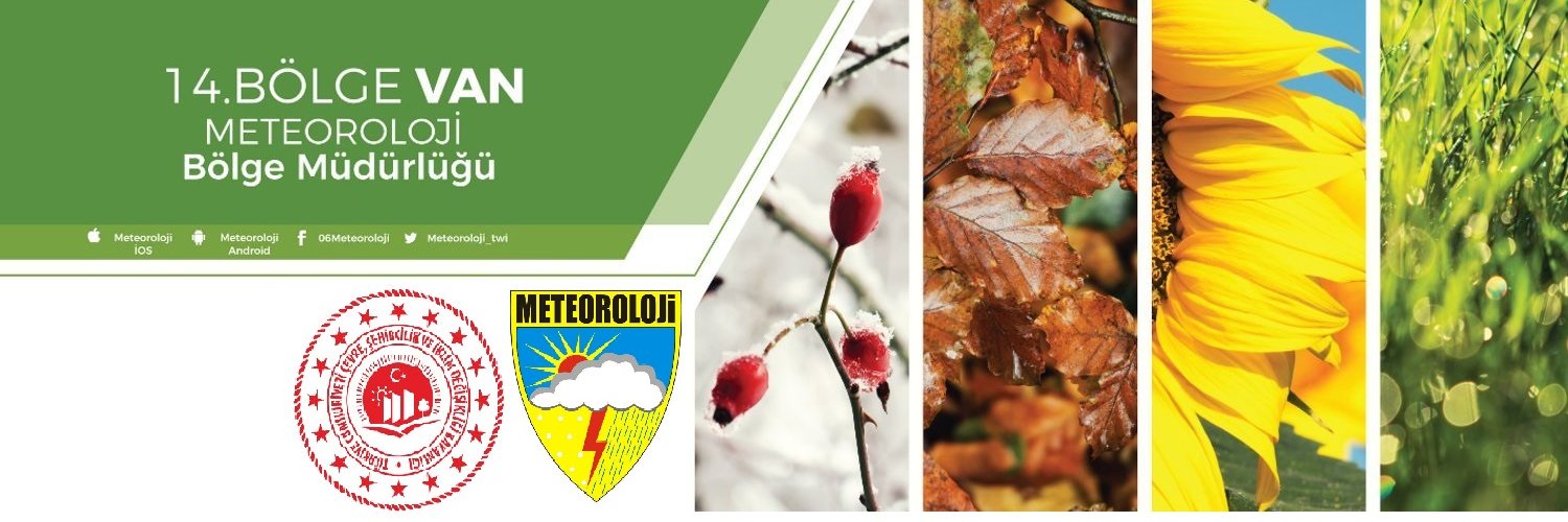 VanBolgeMeteor's profile banner image