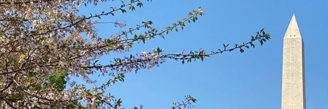 annezukowski's profile banner image