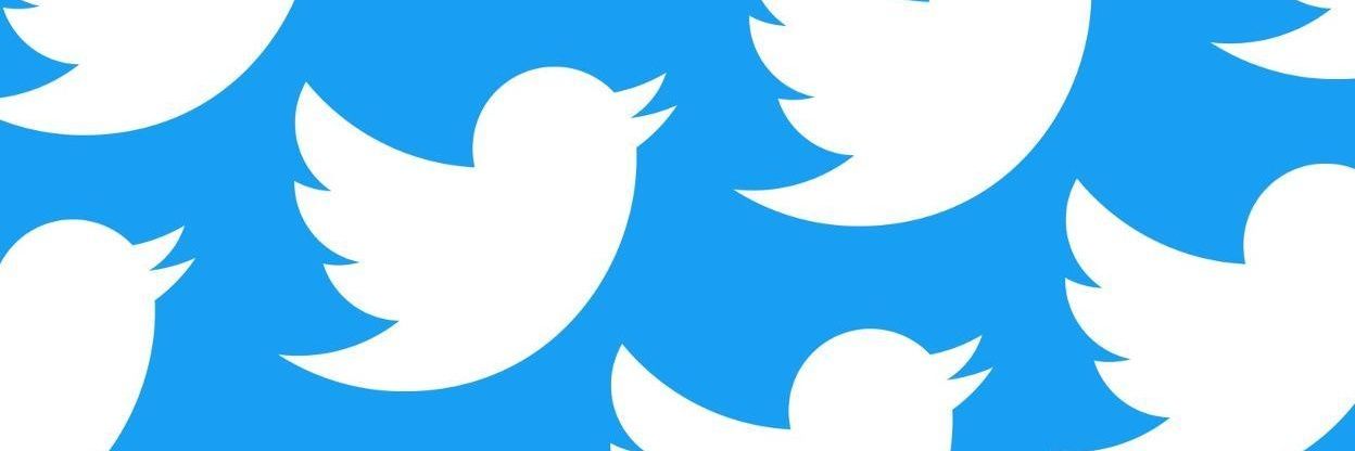 Върнете птичката в логото banner