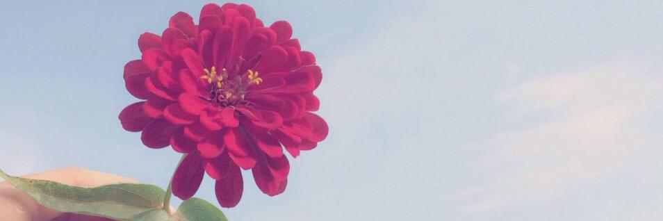 toway828's profile banner image