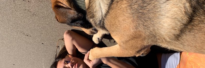 AmaliaERamirez's profile banner image
