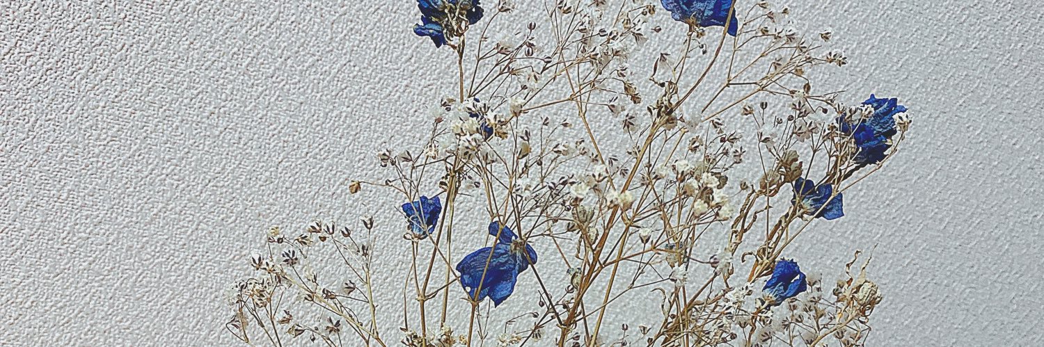 marin_pome's profile banner image