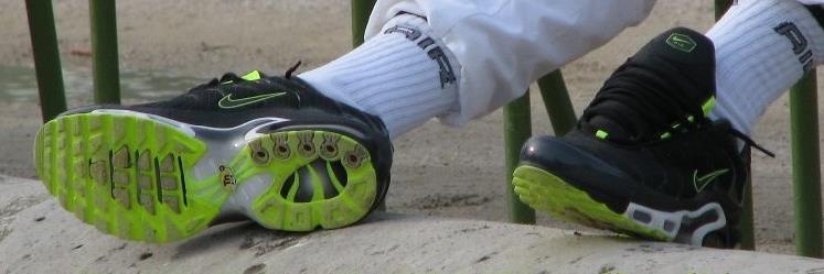 Albatros XaWria banner