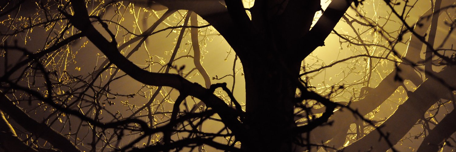 9lim4st's profile banner image