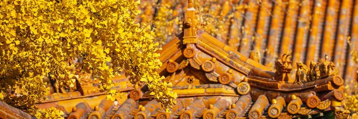 JangteeYu's profile banner image
