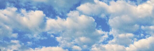 Teneal_7's profile banner image