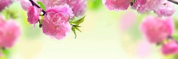 DooRight2's profile banner image