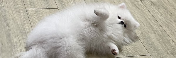 GanNiDer Profile Banner