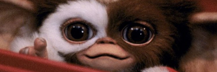 SHUN8221's profile banner image