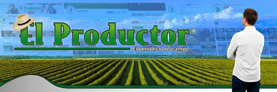 ElproductorEC's profile banner image