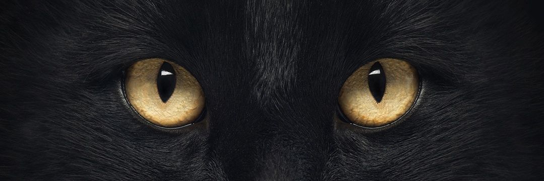 LeToOo29's profile banner image