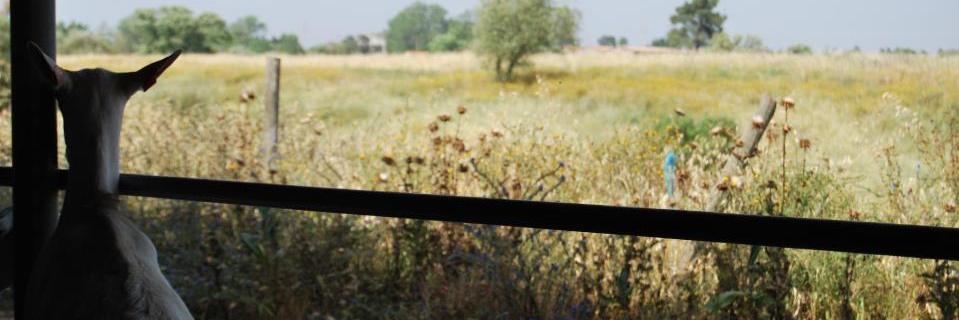 g_ajuda's profile banner image