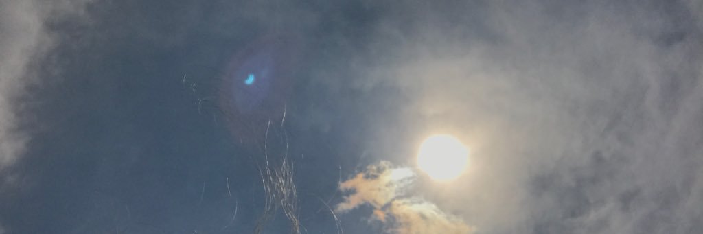 ✨Algorithmically Unbiased✨ banner