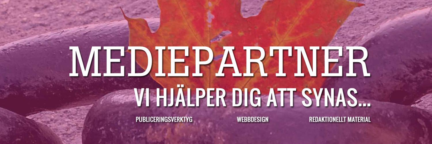 mediepartner's profile banner image