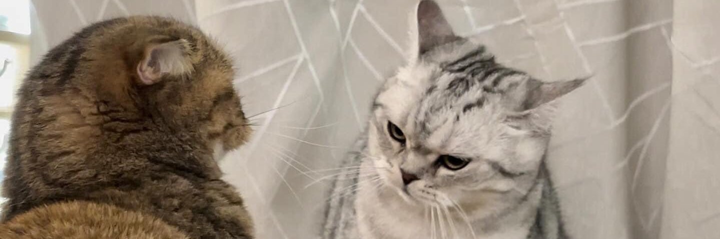 TITITCT's profile banner image