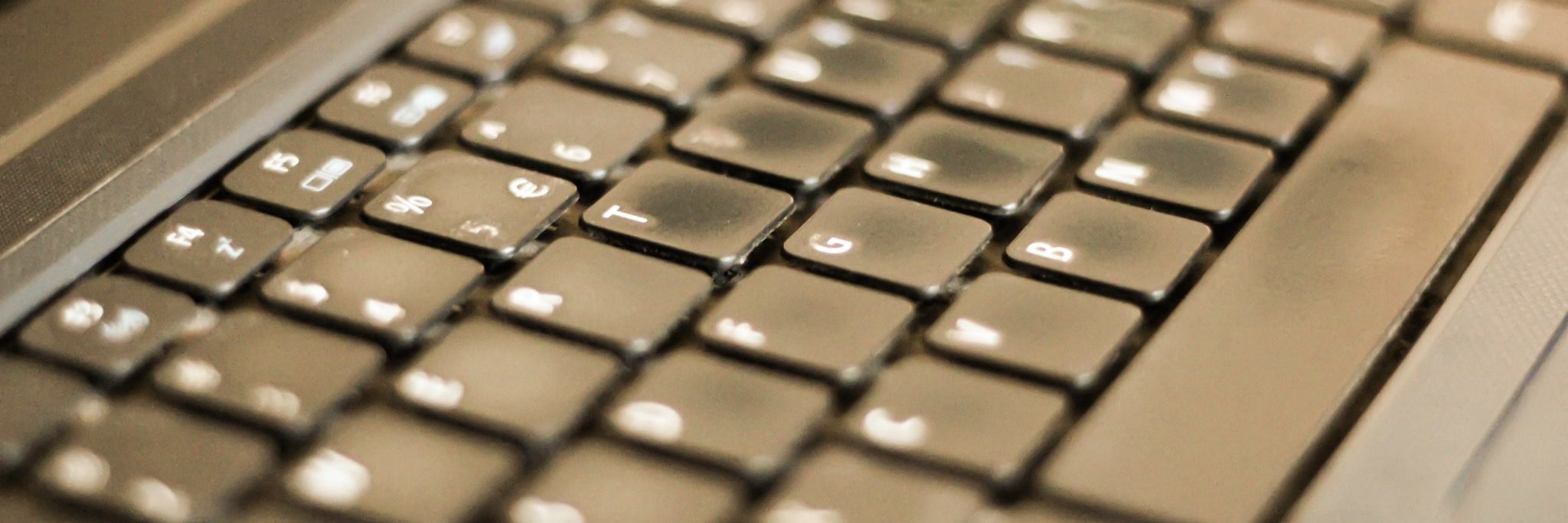 Domesticated Brain banner