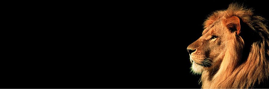 xHoopz_'s profile banner image