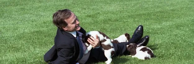 Darbie Kuykendall Harris banner