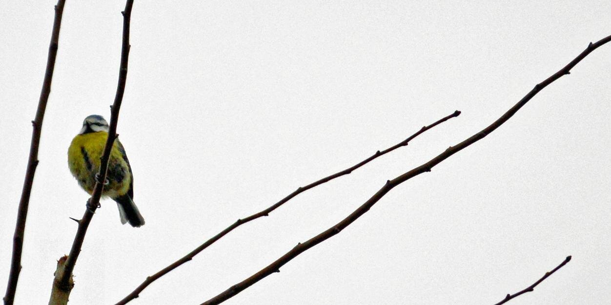 TomHarrisUK's profile banner image