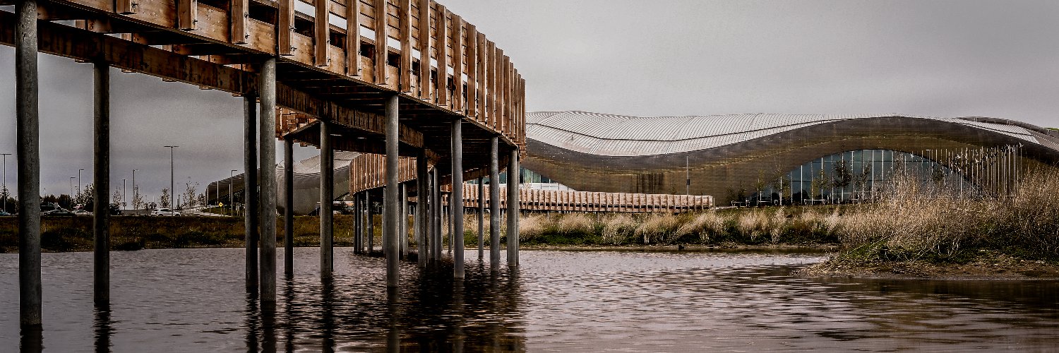 Amy Shantz 😷 banner