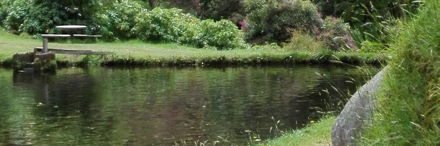 Paula E Trejos L: banner