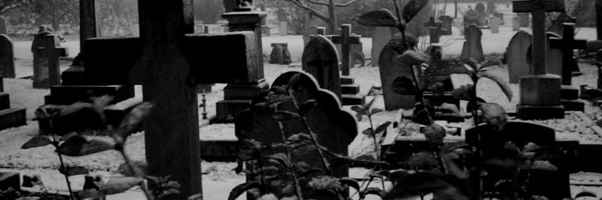 Ruta_Terror's profile banner image