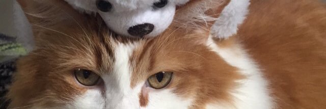 lmstyle's profile banner image