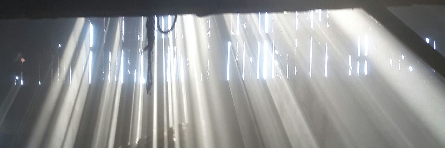 A little wiser banner