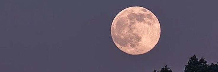 Naidznn's profile banner image
