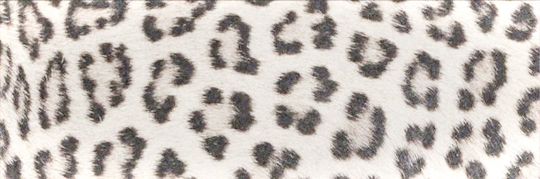 ⭒ banner
