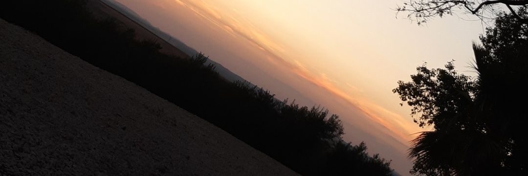 Pedroac_19's profile banner image