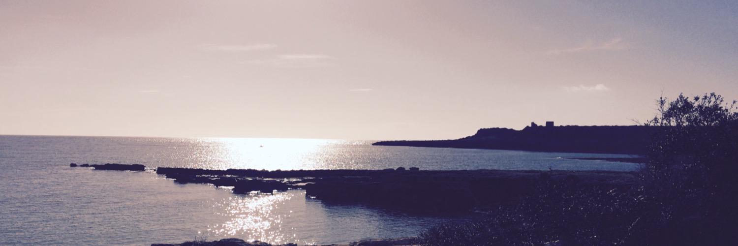 omarbertazzo's profile banner image