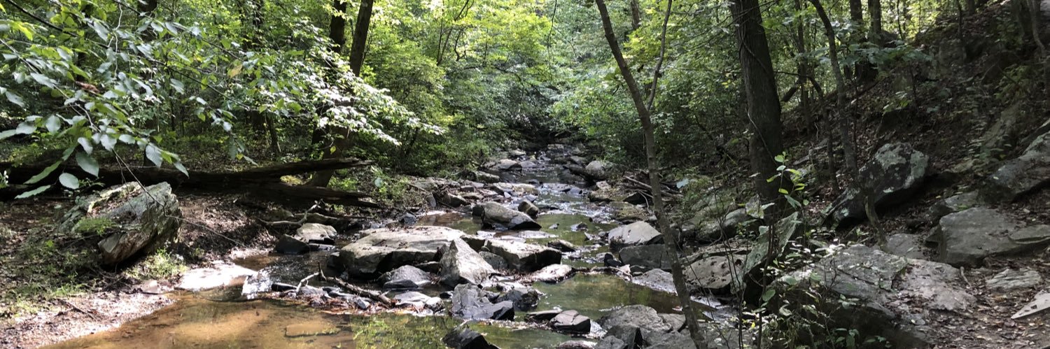 Angela Archer banner