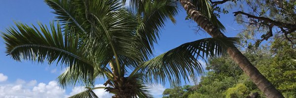 isingormusfelix Profile Banner