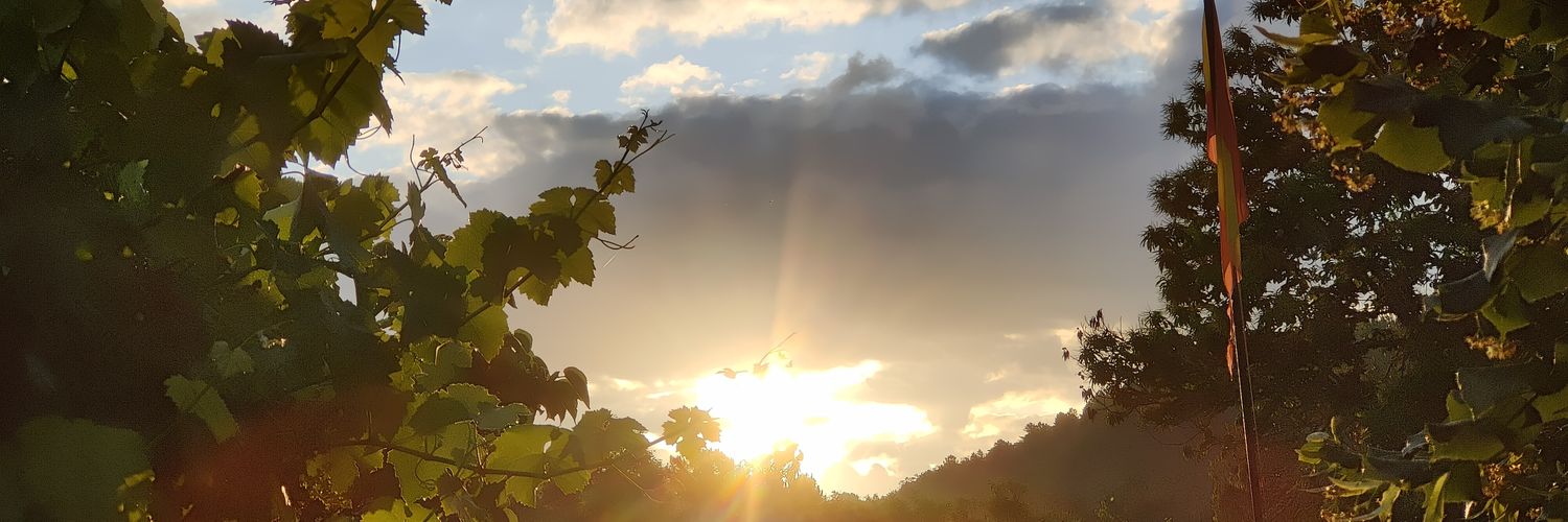 SergioAlvarezA4's profile banner image