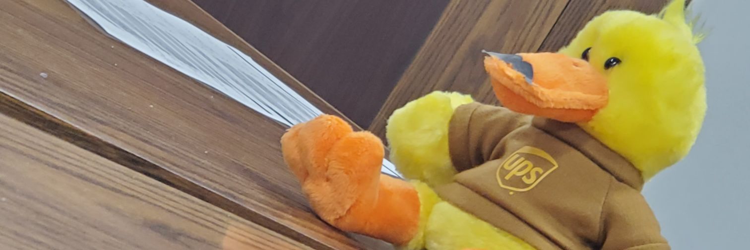 stephanie covarrubias banner