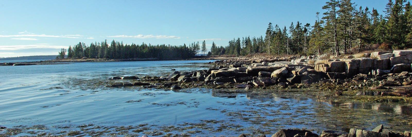 Felice Stadler banner