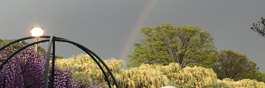 hassyo00's profile banner image
