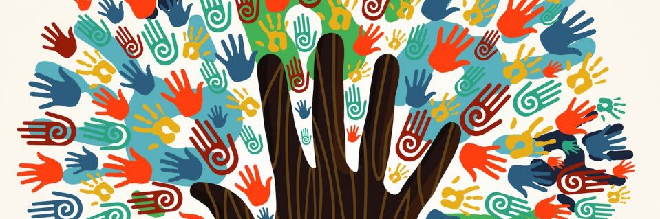 Dr. C. Gadsden Holliday,Culturally Relevant Coach banner