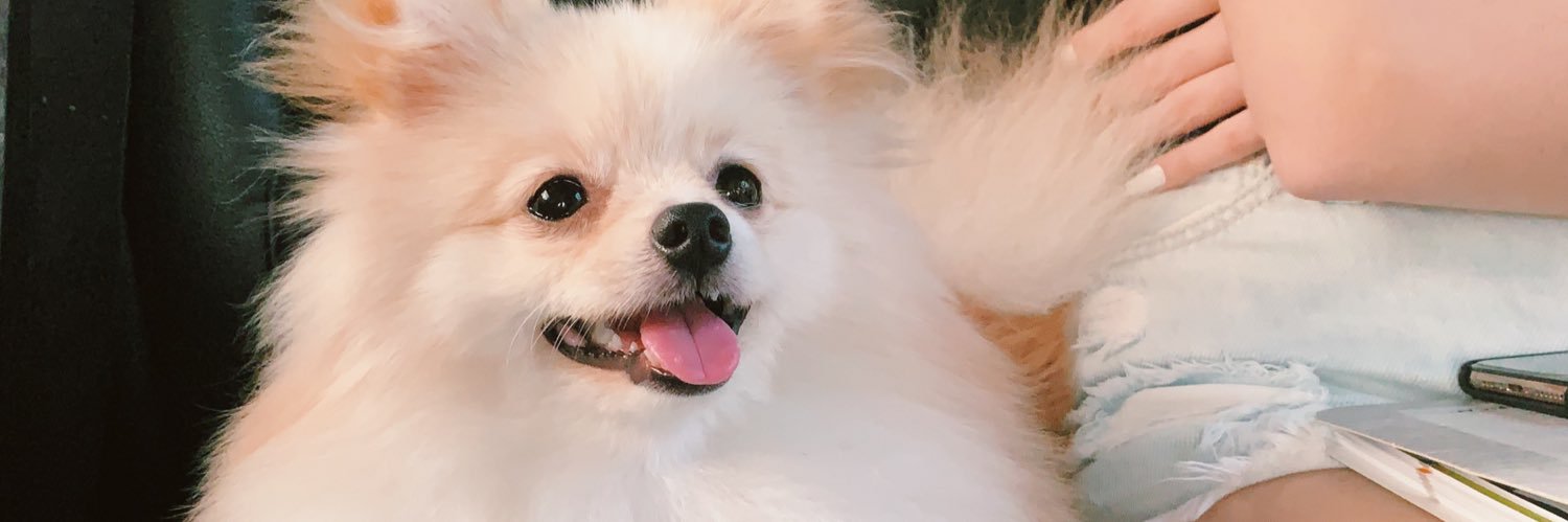 annykayserr's profile banner image