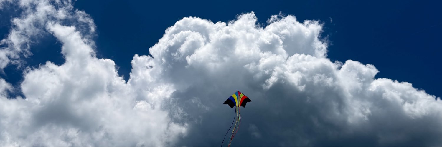 wutdahellyana's profile banner image