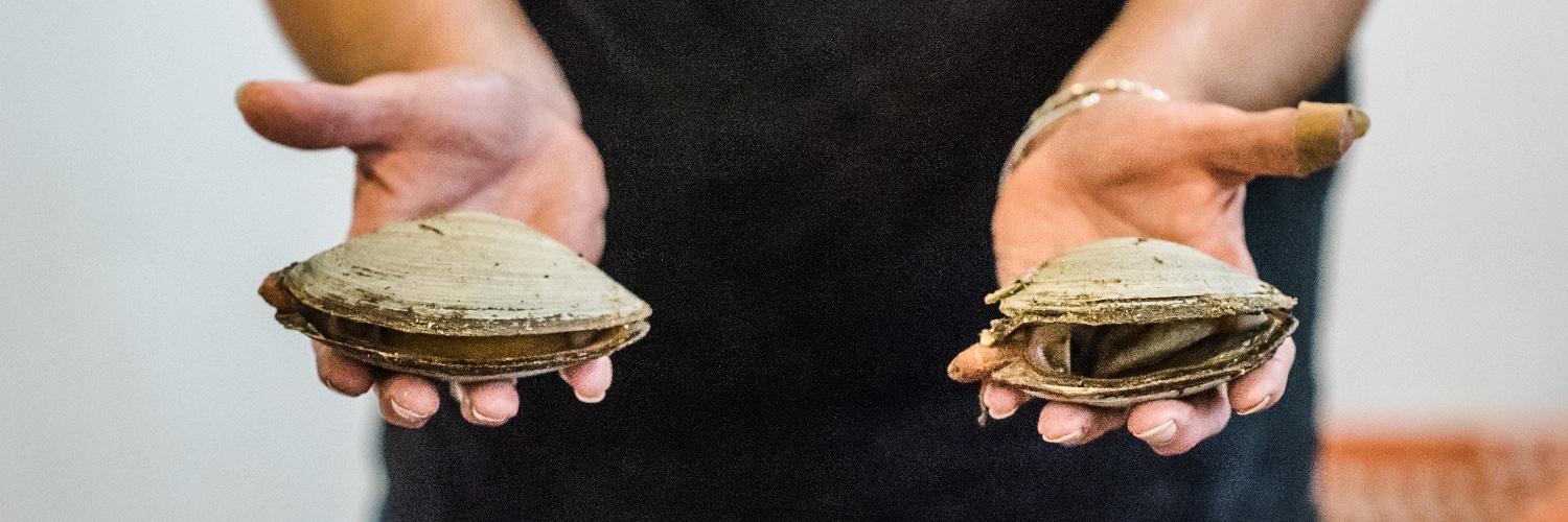 Local Catch Network banner