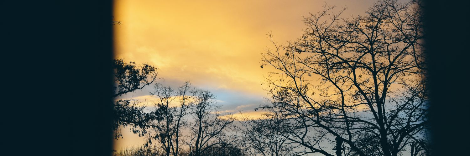 nathans999's profile banner image